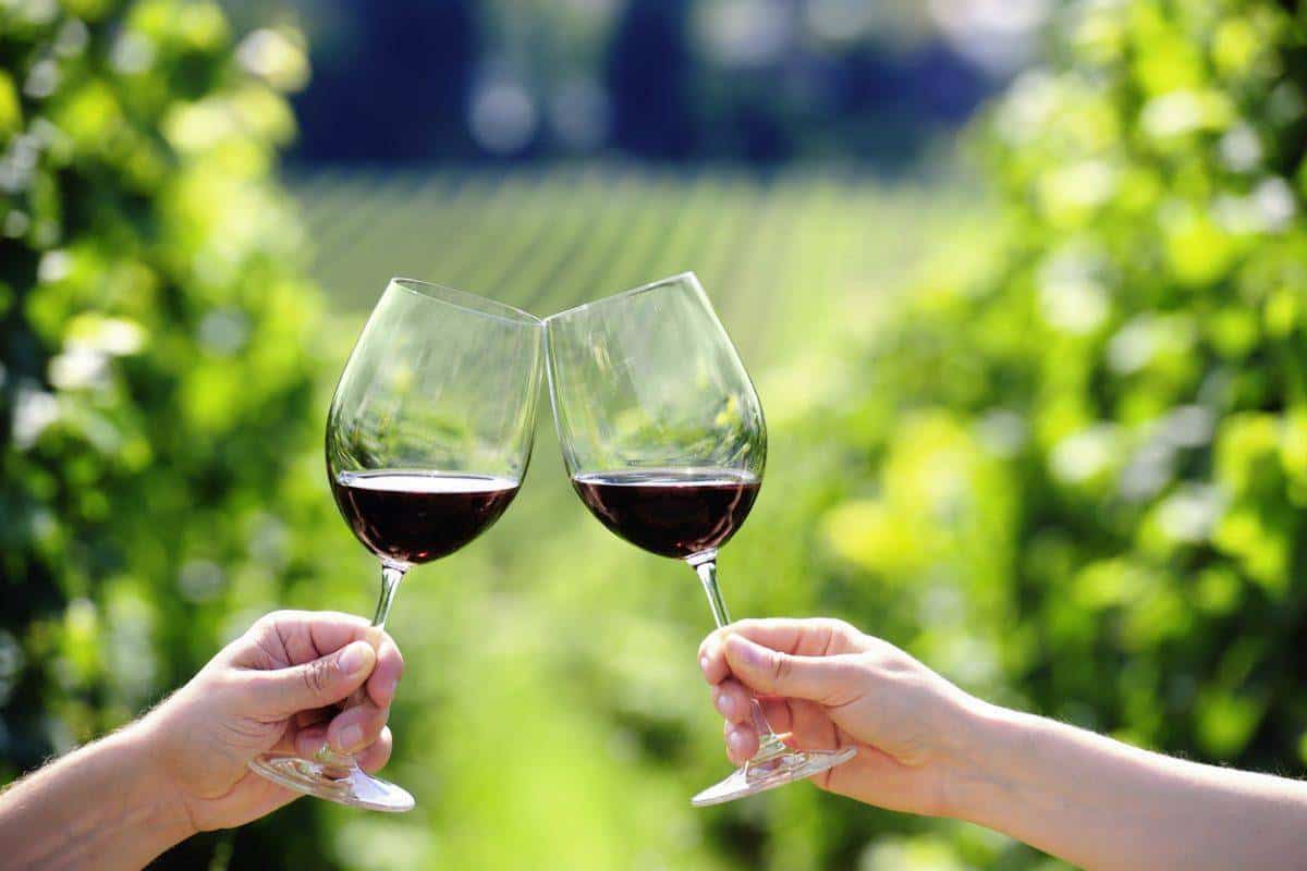 Toasting with glasses of red