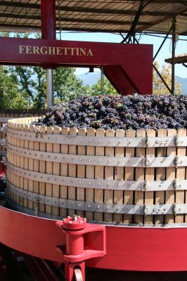 Ferghettina winery producers of an excellent Franciacorta