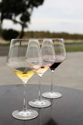 Tasting Wine - The Inspiring Wines simple guide to tasting like a pro