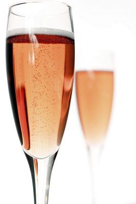 Newsletter picture_blush and friend