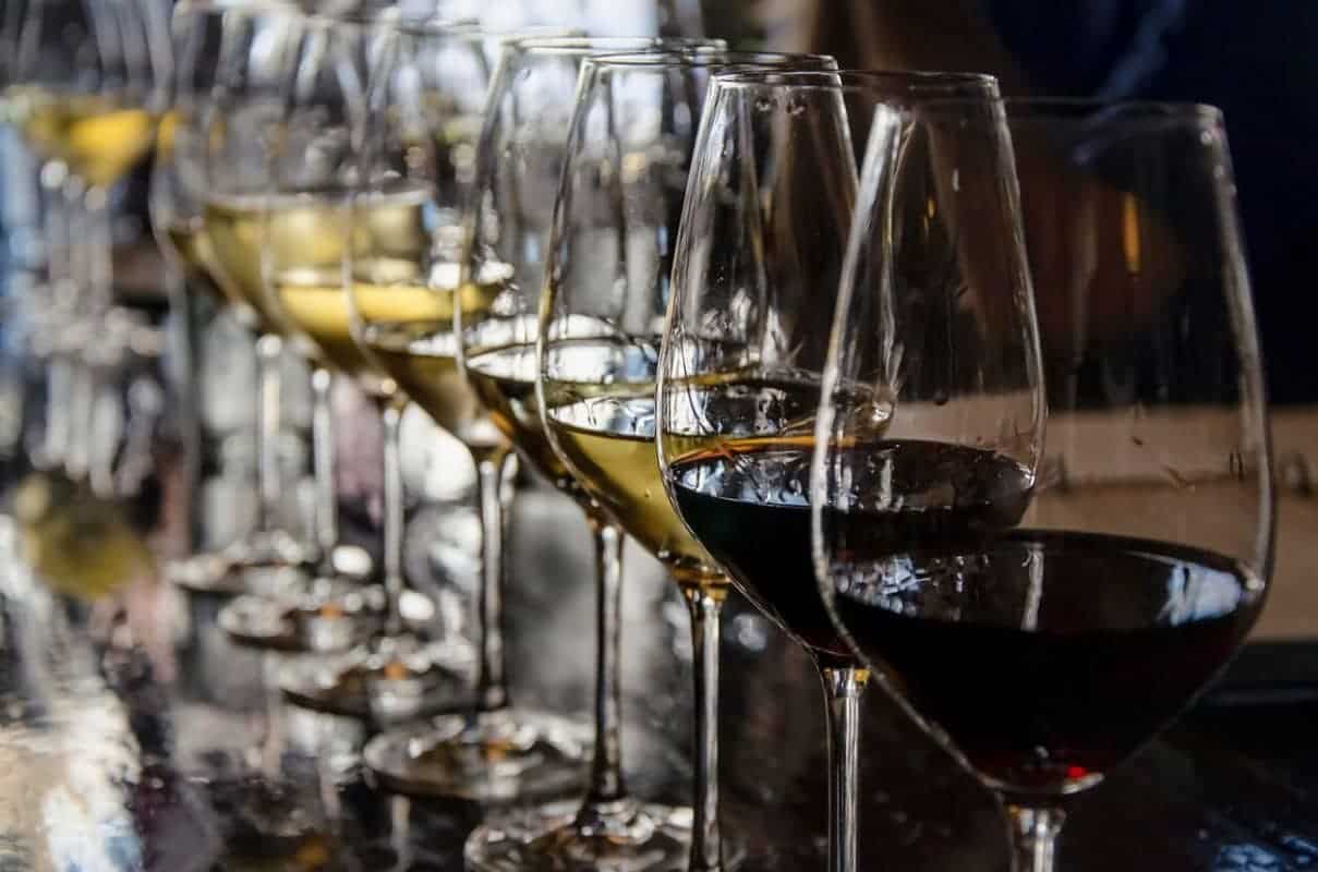 Wine tasting glasses lined up. Do you know your wine?