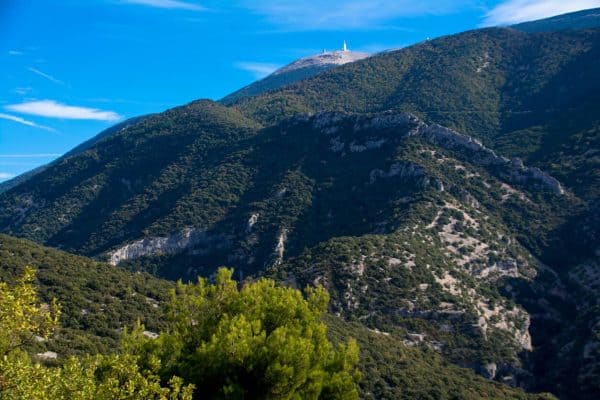 A view of Mont Ventoux in Summer