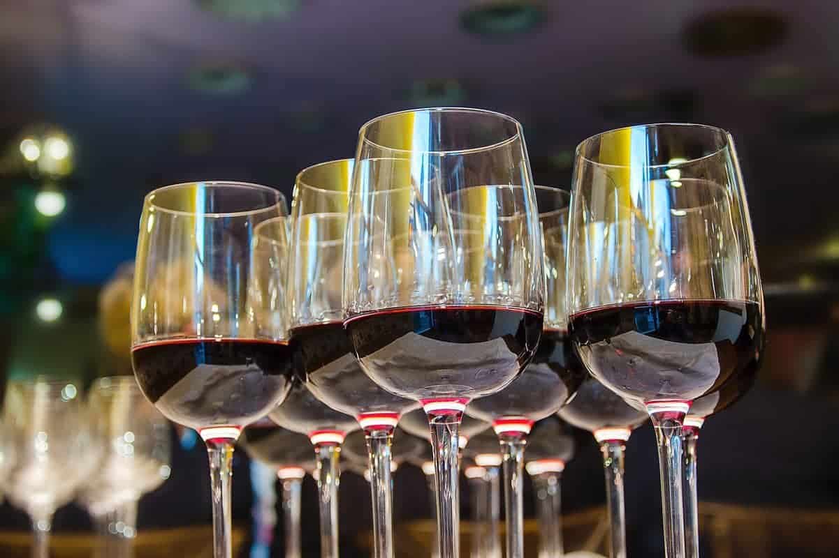 Red wine glasses lined up ready to taste