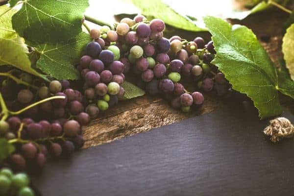 Social media accounts to follow - Inspiring Wines